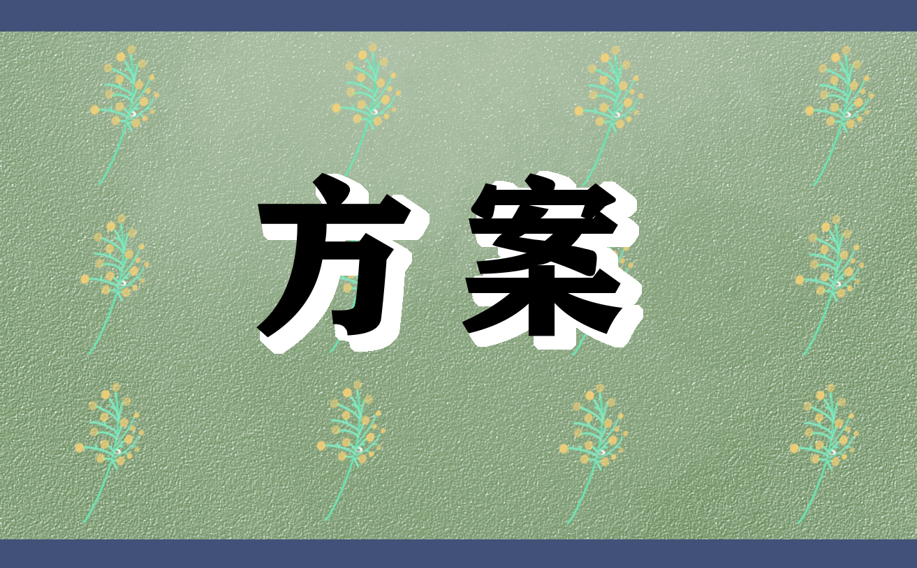创业网络营销方案案例2022